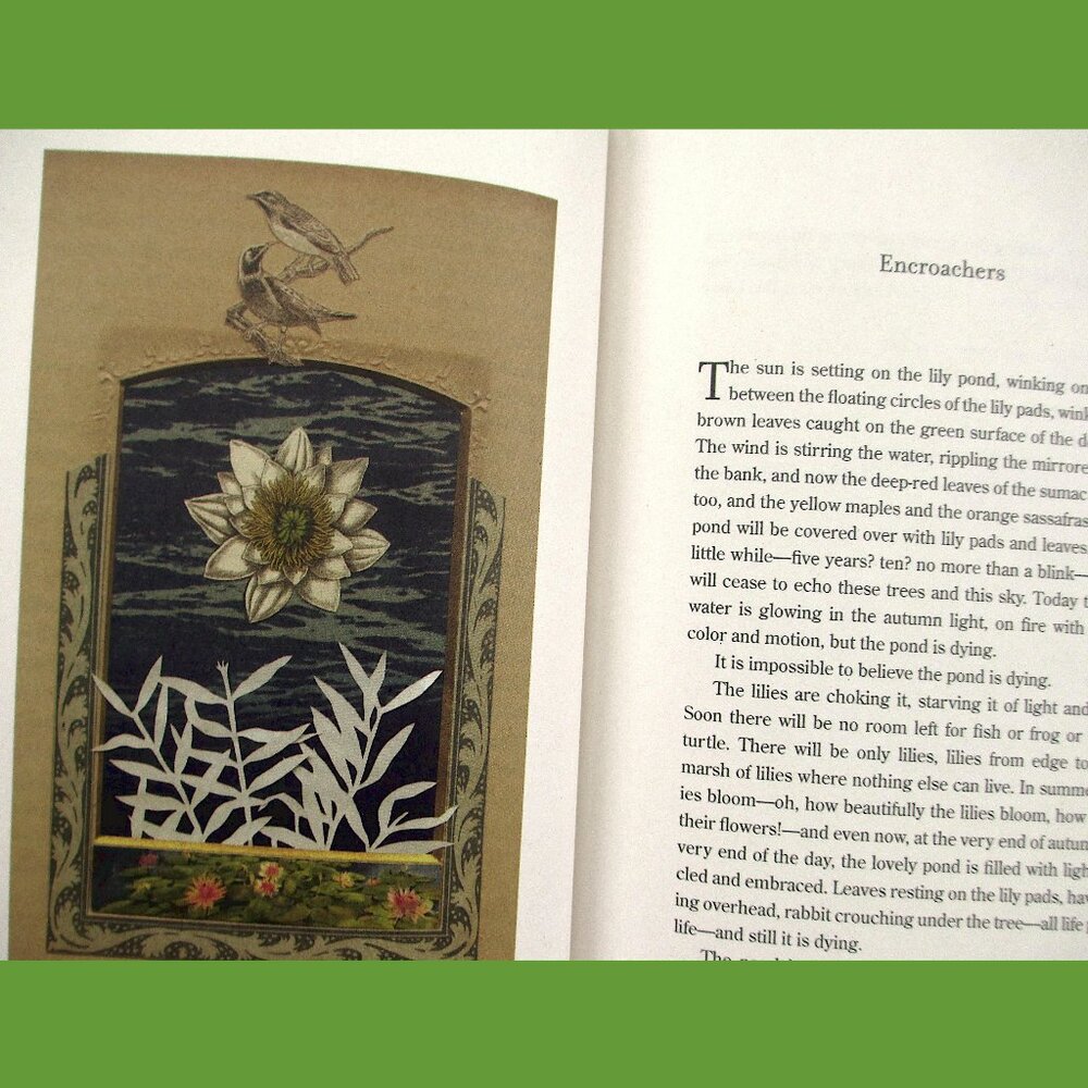 Book - Late Migrations: A Natural History of Love & Loss, by Margaret Renkl - Picture 8 of 13